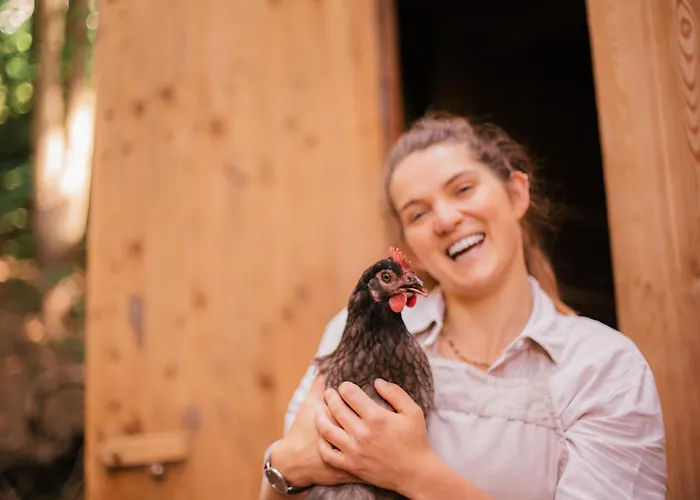 Hotel Kleines Karnten Villach